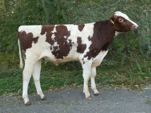 МАРС 6352 ET КСГФ-285